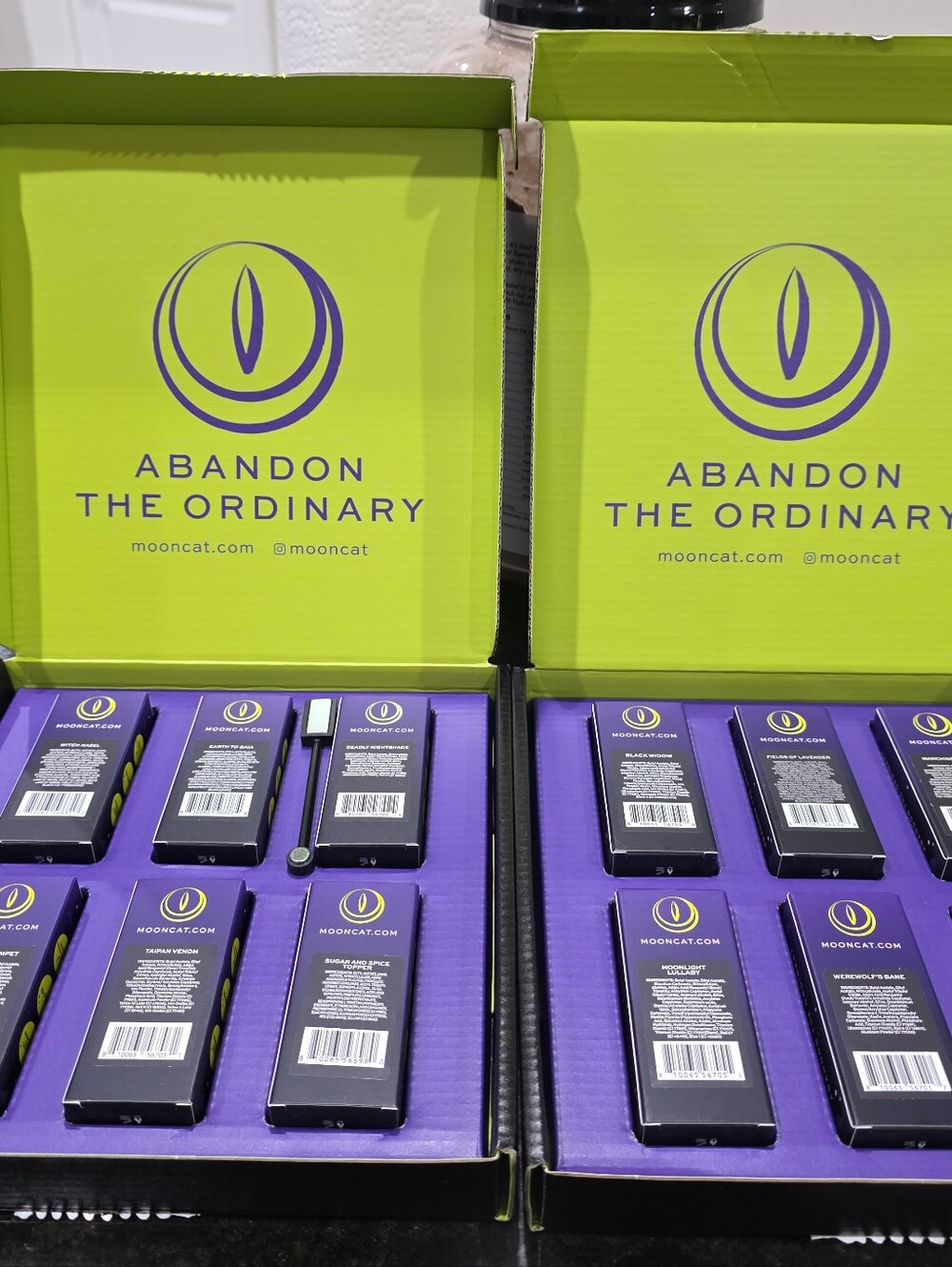Mooncat empty boxes & magnet